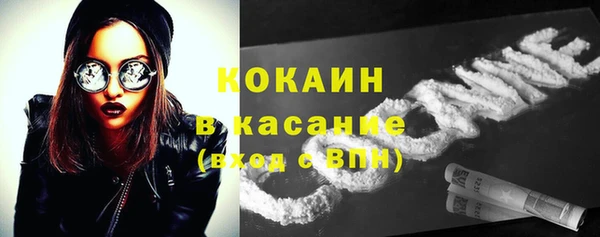 ALPHA PVP Богородицк