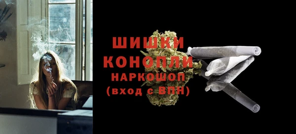 apvp Богородск