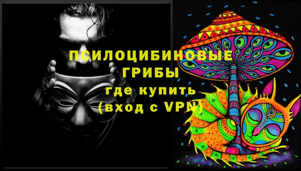 apvp Богородск